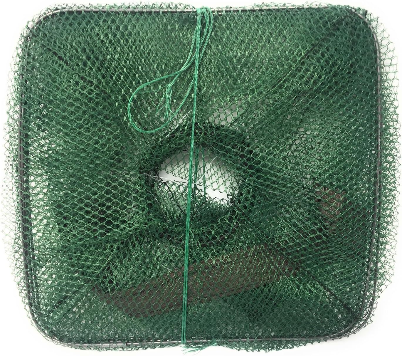 Foldable Bait Trap
